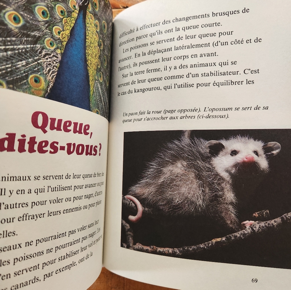📚 DISNEY vintage books - Picture 5 of 10